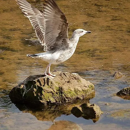 Quattro Appartement *