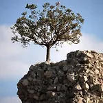 Quattro Starigrad Paklenica